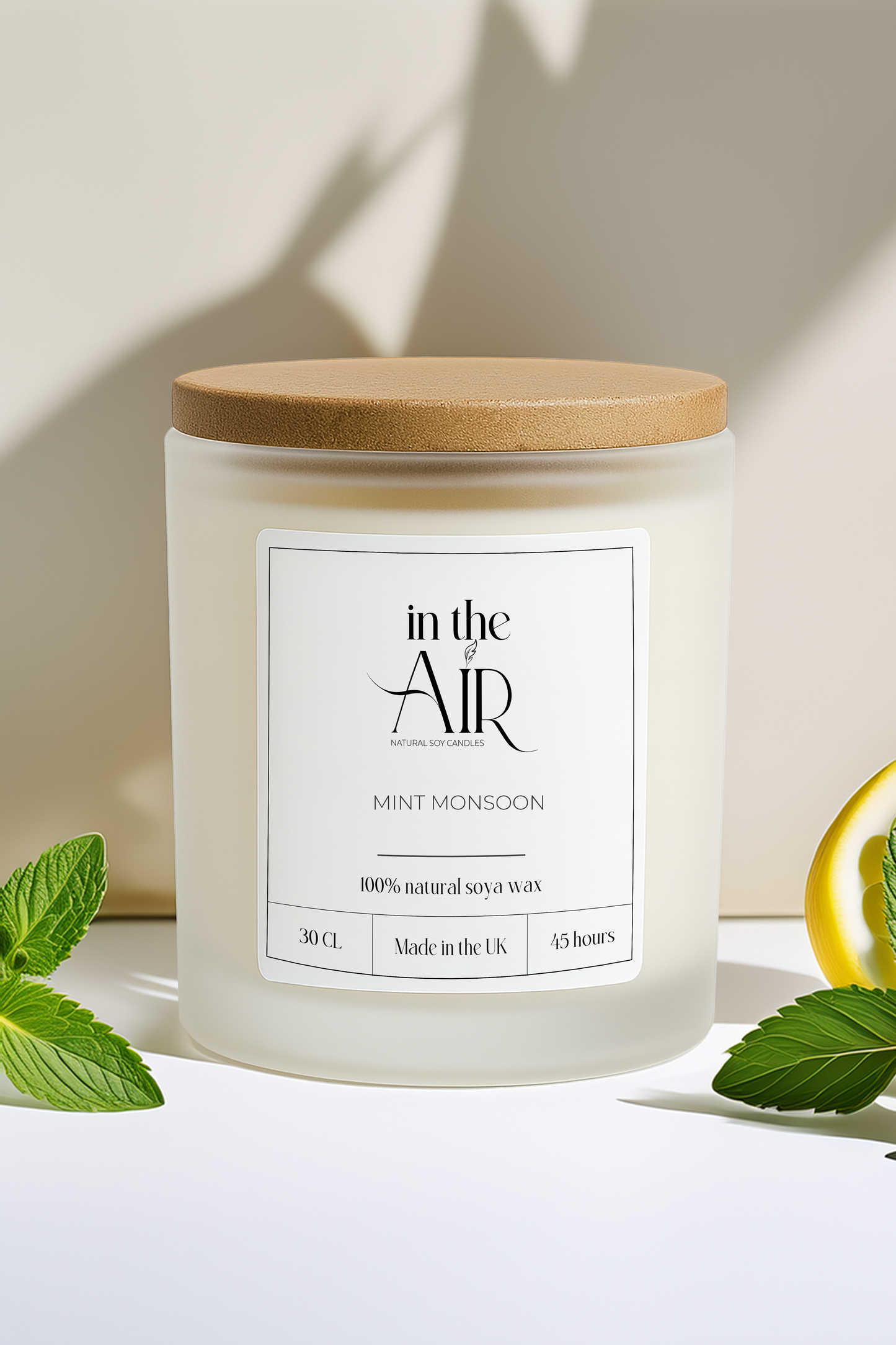 Mint Monsoon Soy Scented Candle 260 g