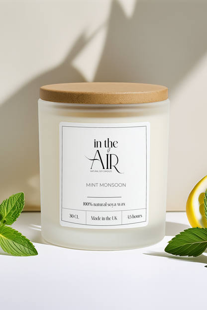 Mint Monsoon Soy Scented Candle 260 g